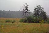 Image of landscape