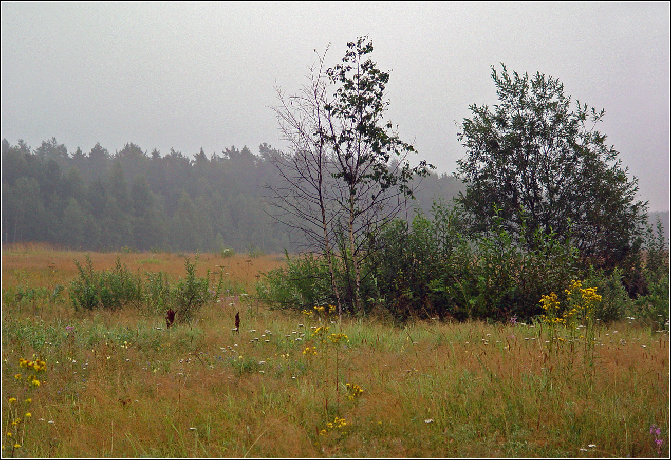 Хрипань, image of landscape/habitat.