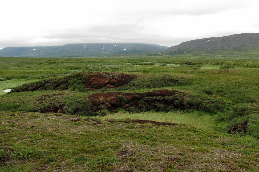 Верховья Нияю, image of landscape/habitat.