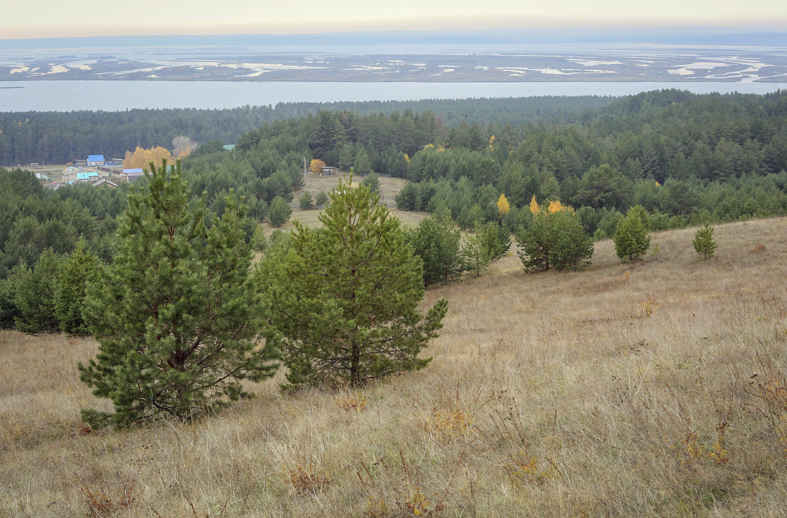 Окрестности села Красный Бор, image of landscape/habitat.