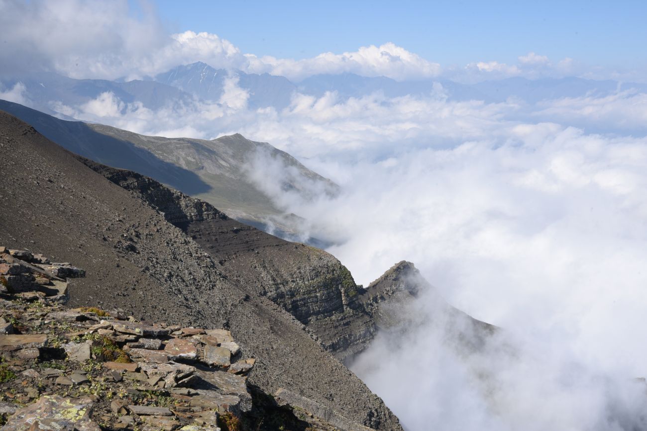 Гора Заинкорт, image of landscape/habitat.