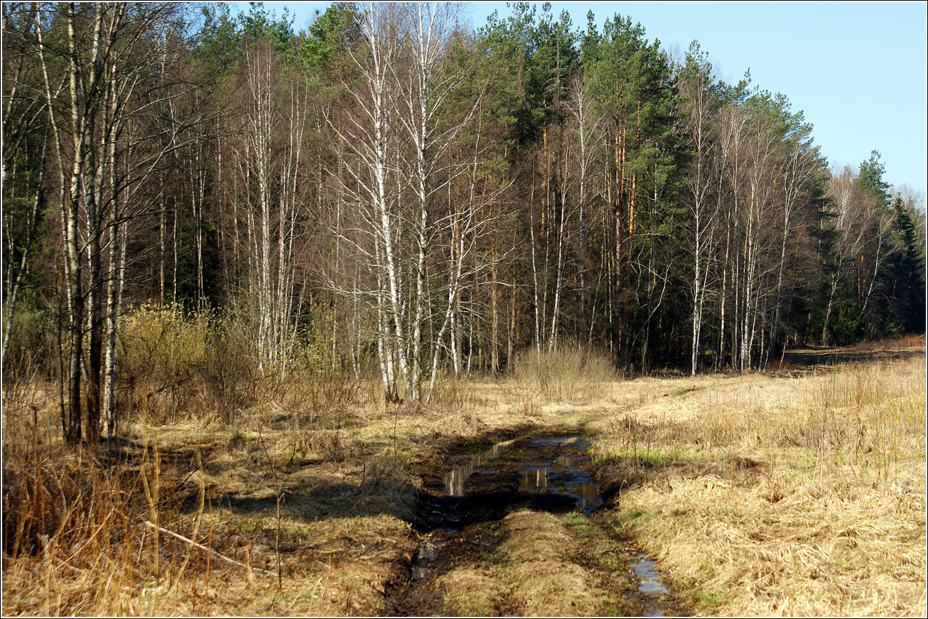 Окрестности Хрипани, image of landscape/habitat.