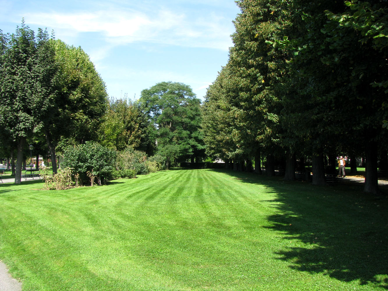 Вена, image of landscape/habitat.