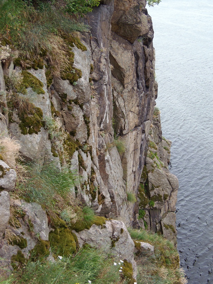 Остров Хортица, изображение ландшафта.