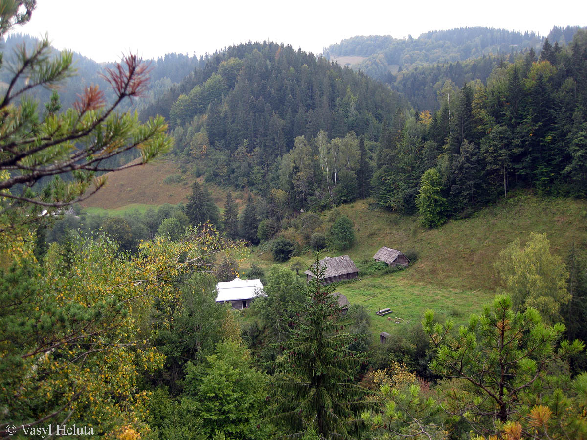 Терношора, image of landscape/habitat.