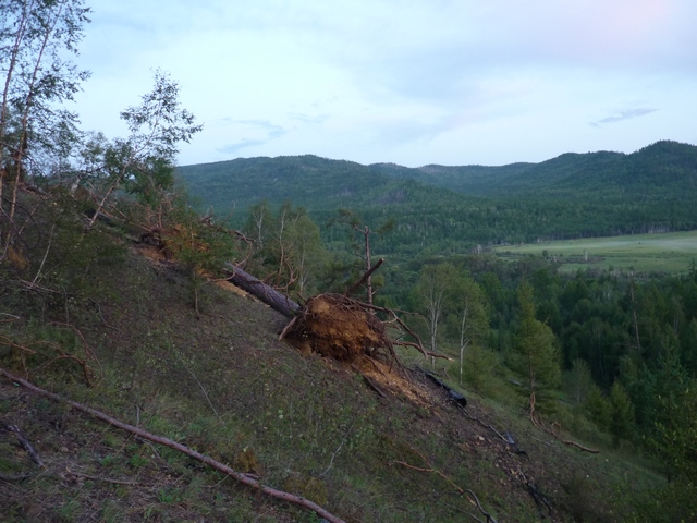 Бассейн р. Будюмкан, image of landscape/habitat.