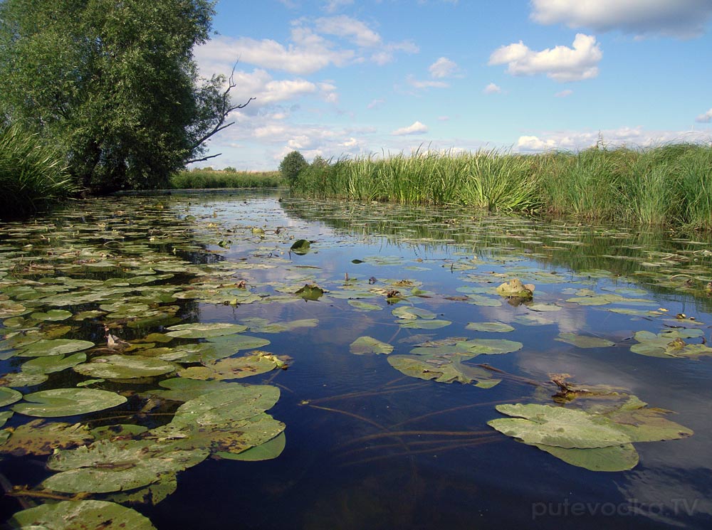 Дубна, image of landscape/habitat.