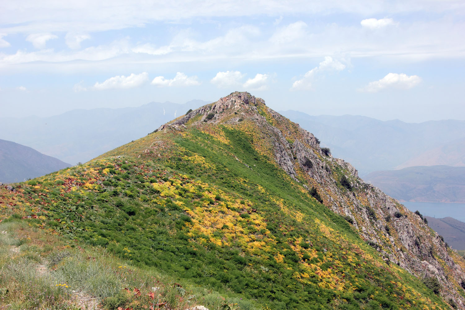 Малый Чимган, image of landscape/habitat.