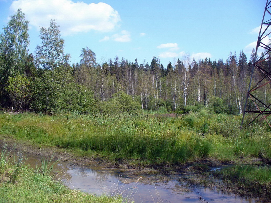 Красные Ткачи, image of landscape/habitat.