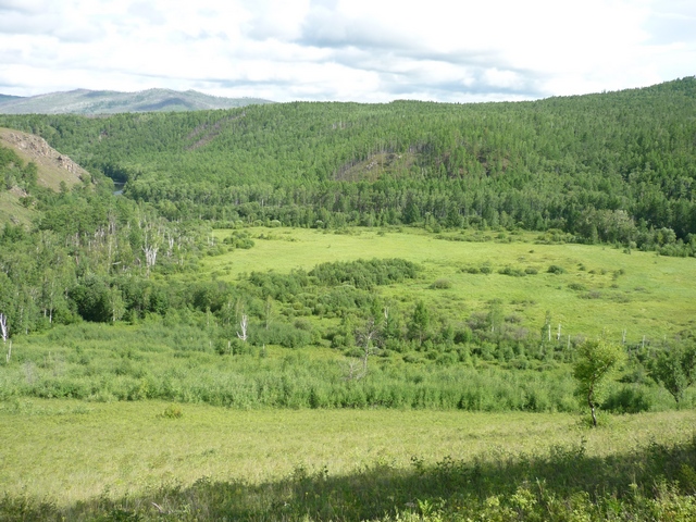 Бассейн р. Будюмкан, image of landscape/habitat.