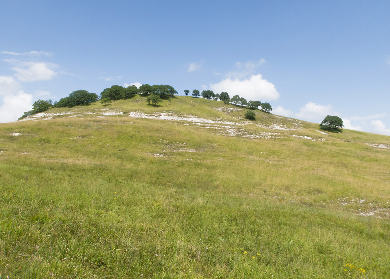 Герпегем, image of landscape/habitat.