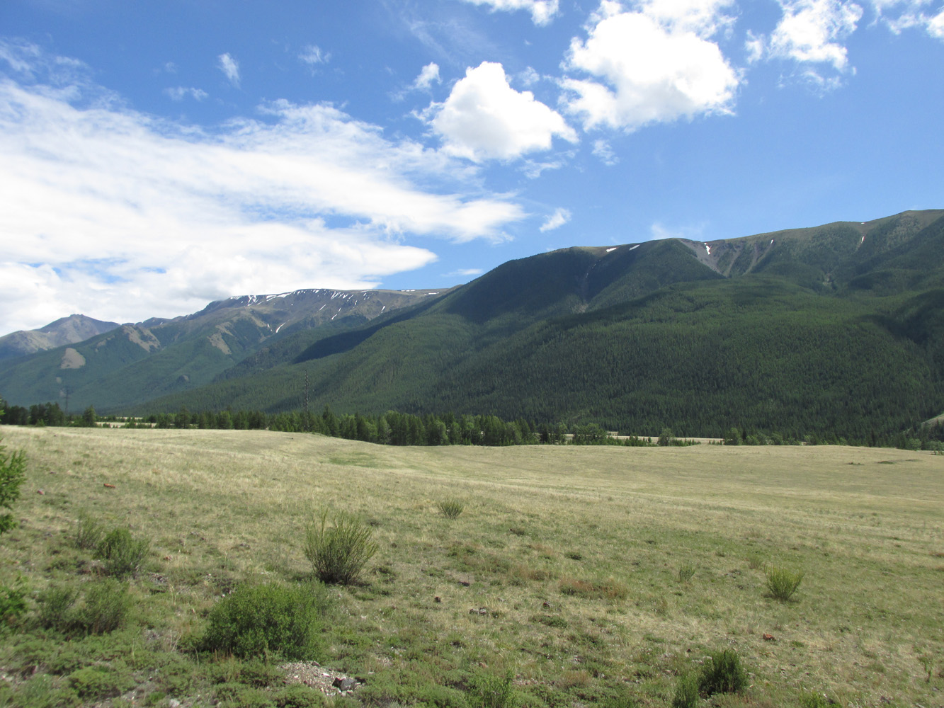 Устье реки Тыдтугем, image of landscape/habitat.