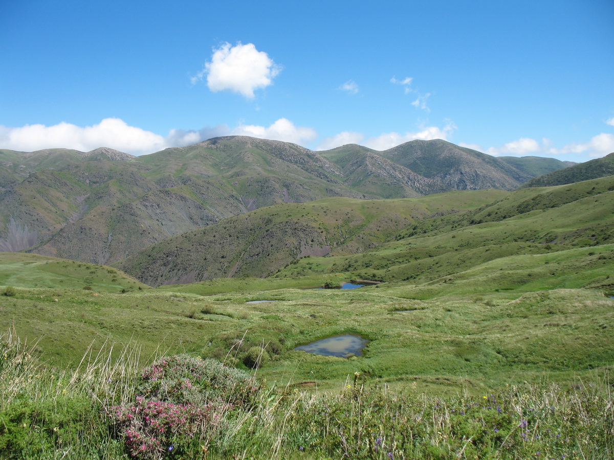 Бойдаксай, image of landscape/habitat.