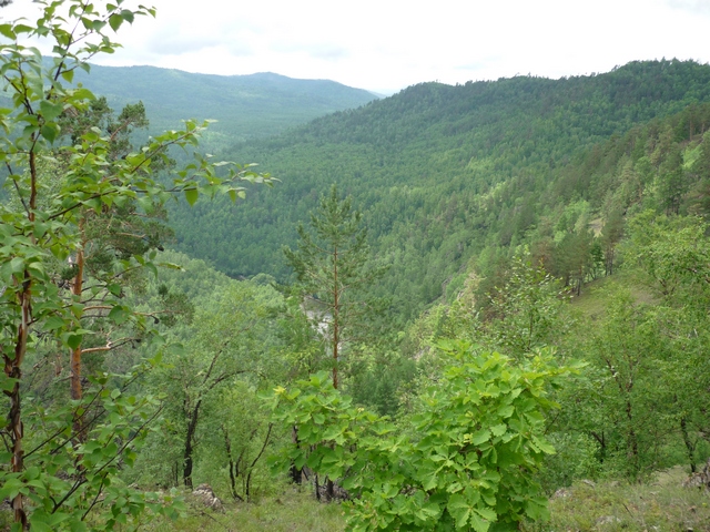 Бассейн р. Будюмкан, изображение ландшафта.