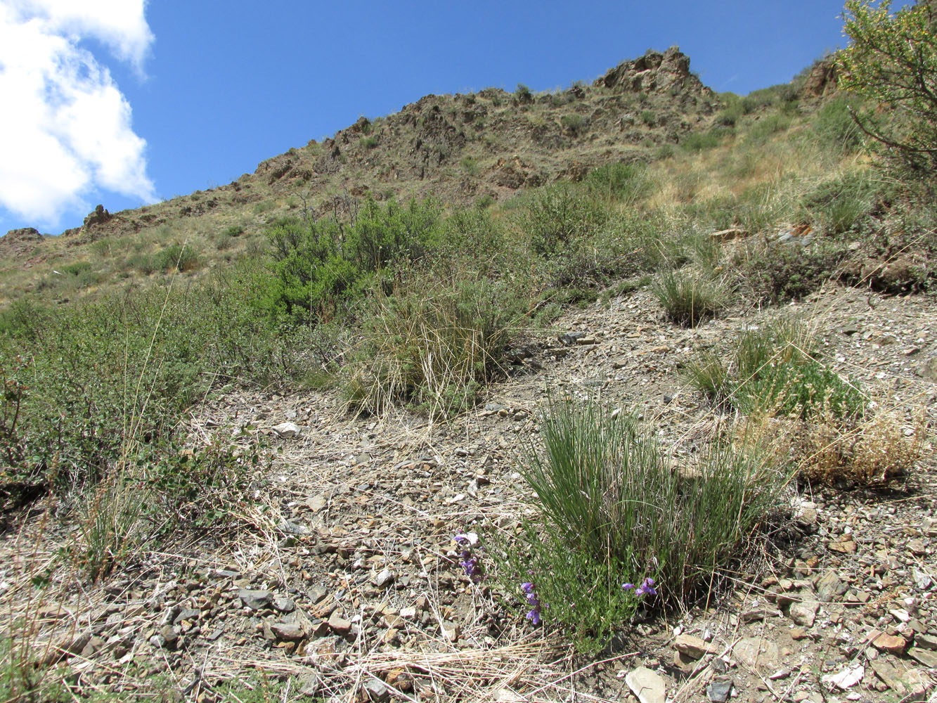 Устье реки Тыдтугем, image of landscape/habitat.