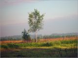 Image of landscape