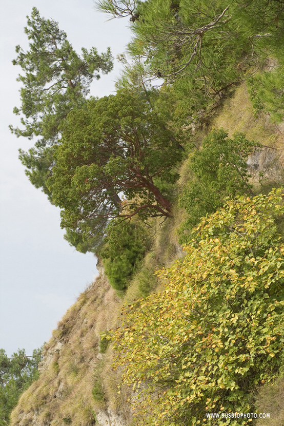 Мюссерские скалы, изображение ландшафта.