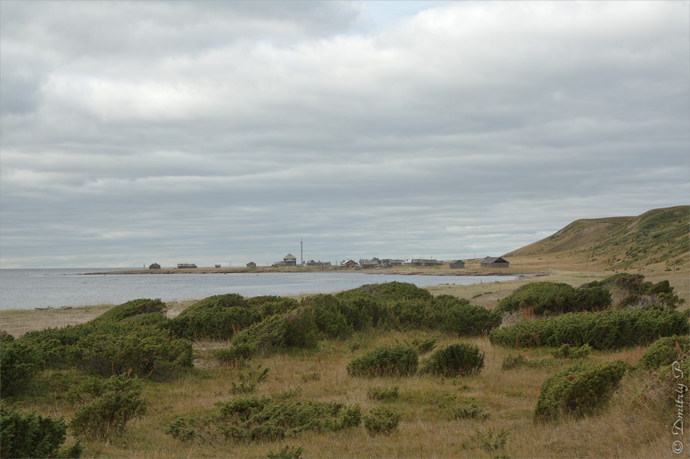 Тетрино, image of landscape/habitat.