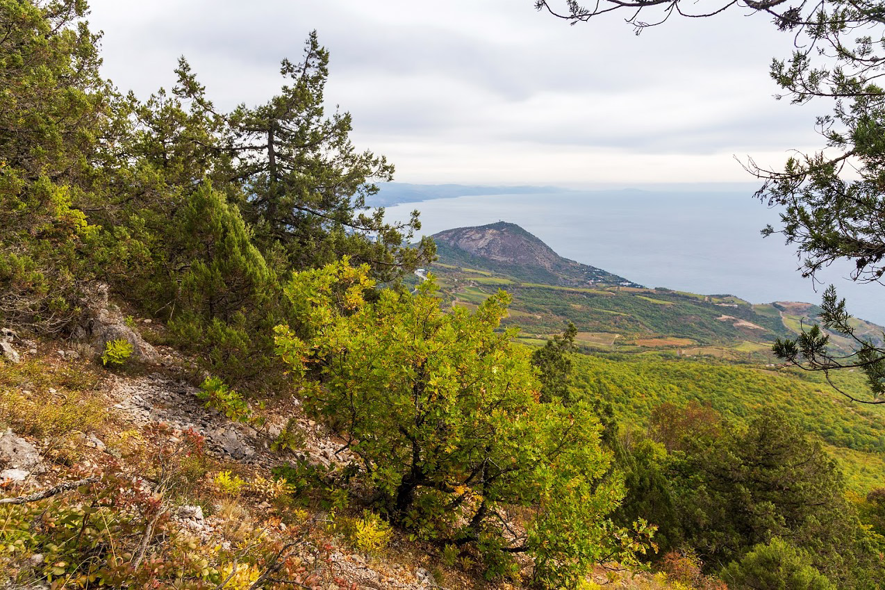 Урочище Парагильмен, image of landscape/habitat.