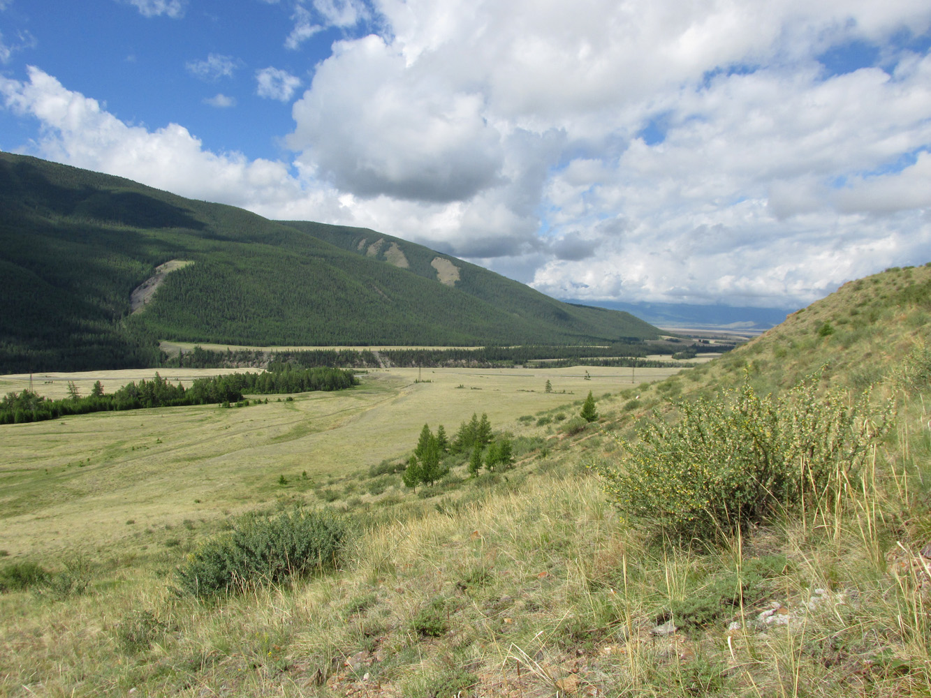 Устье реки Тыдтугем, image of landscape/habitat.