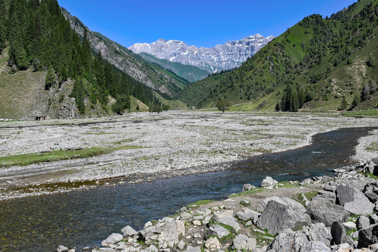 Долина реки Кара-Суу, image of landscape/habitat.