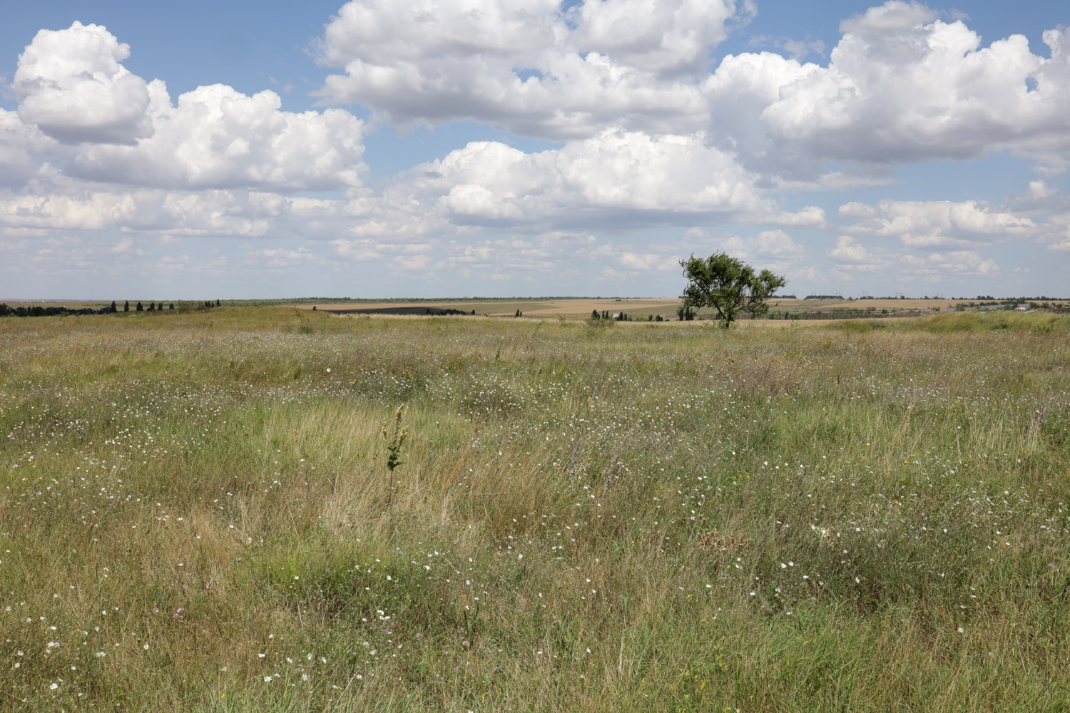Степь у села Урожайное, изображение ландшафта.