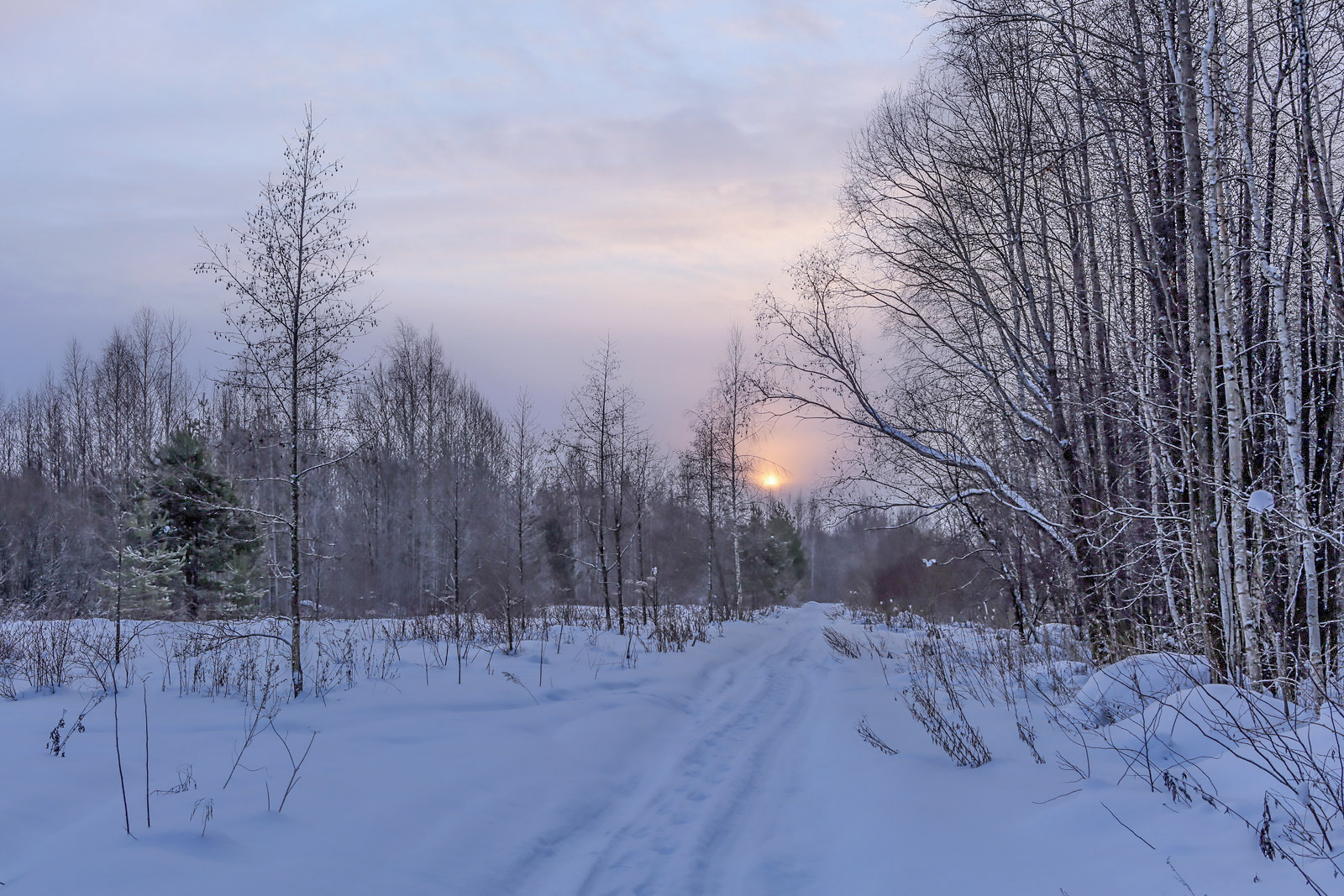 Закамск, image of landscape/habitat.