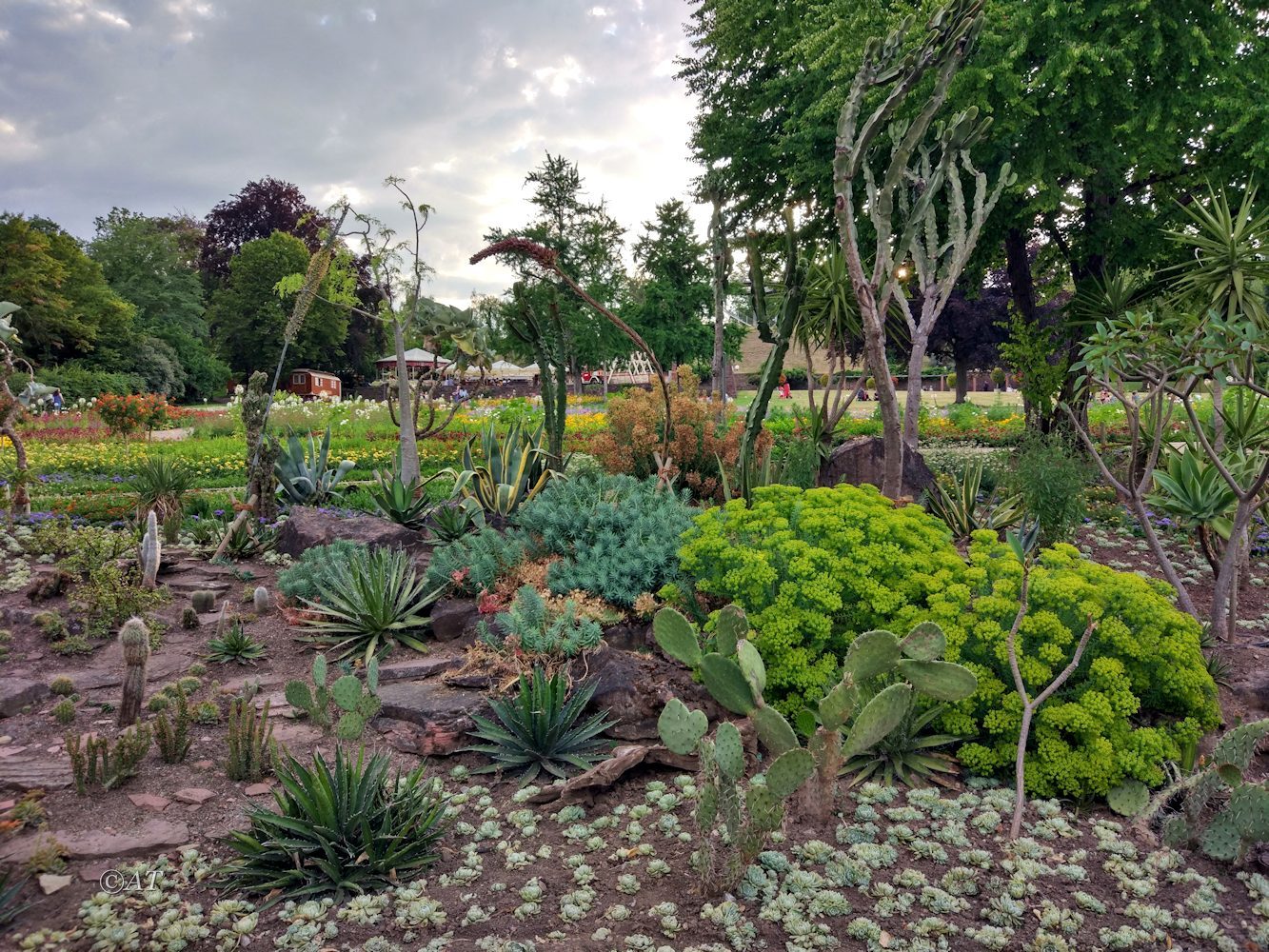 Штутгарт, image of landscape/habitat.