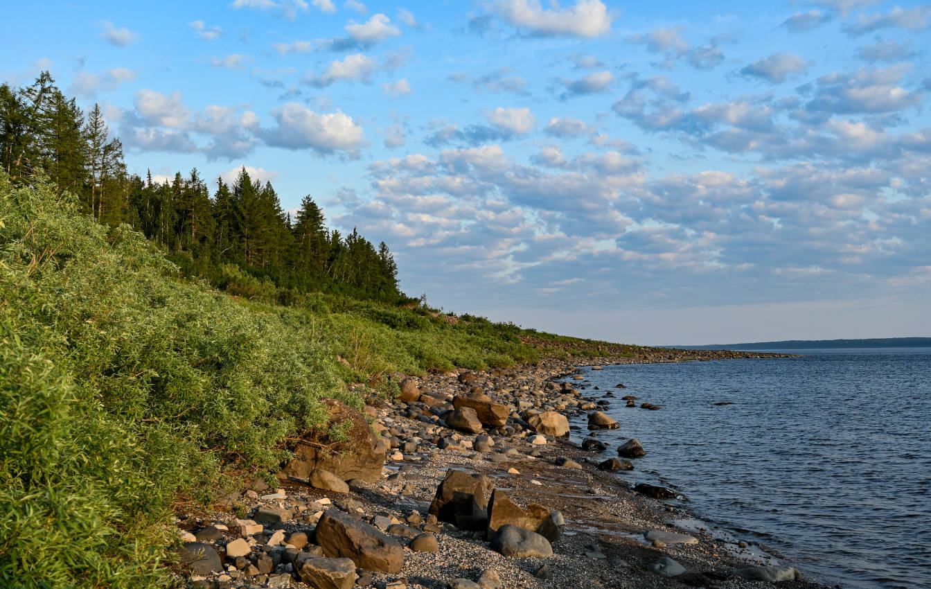 Устье реки Хантайка, image of landscape/habitat.