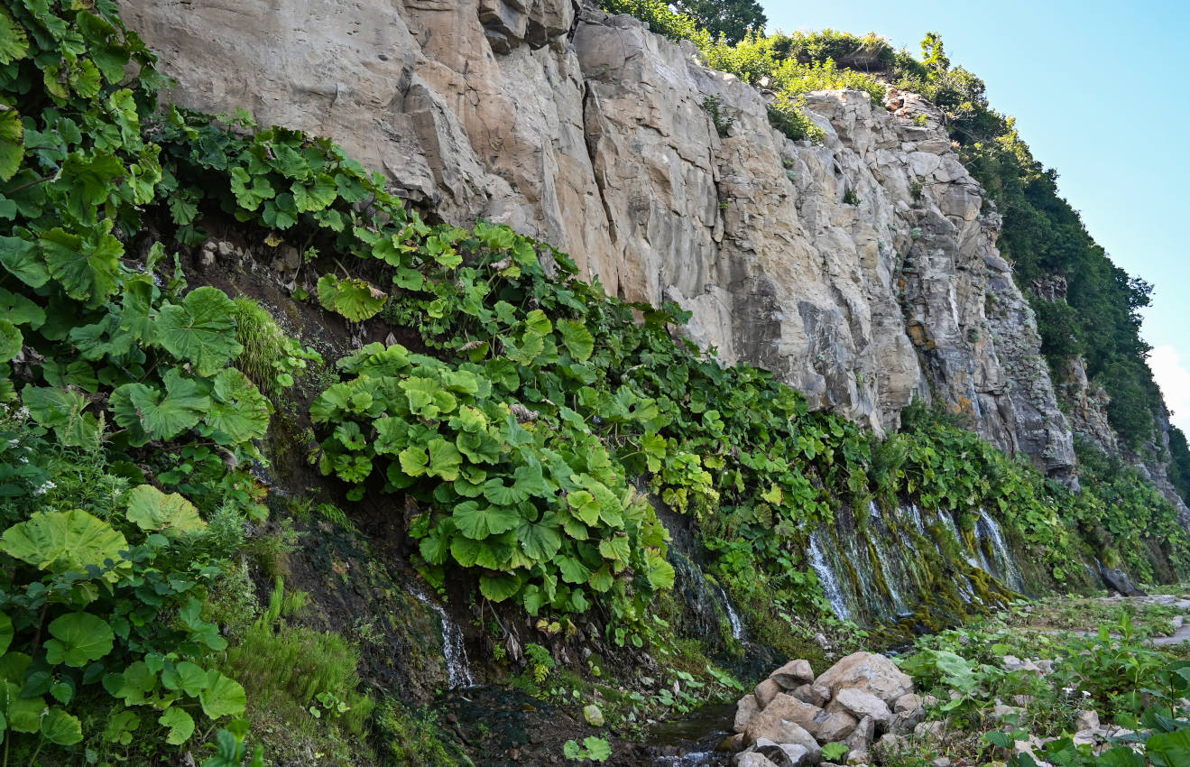 Плачущие скалы, изображение ландшафта.