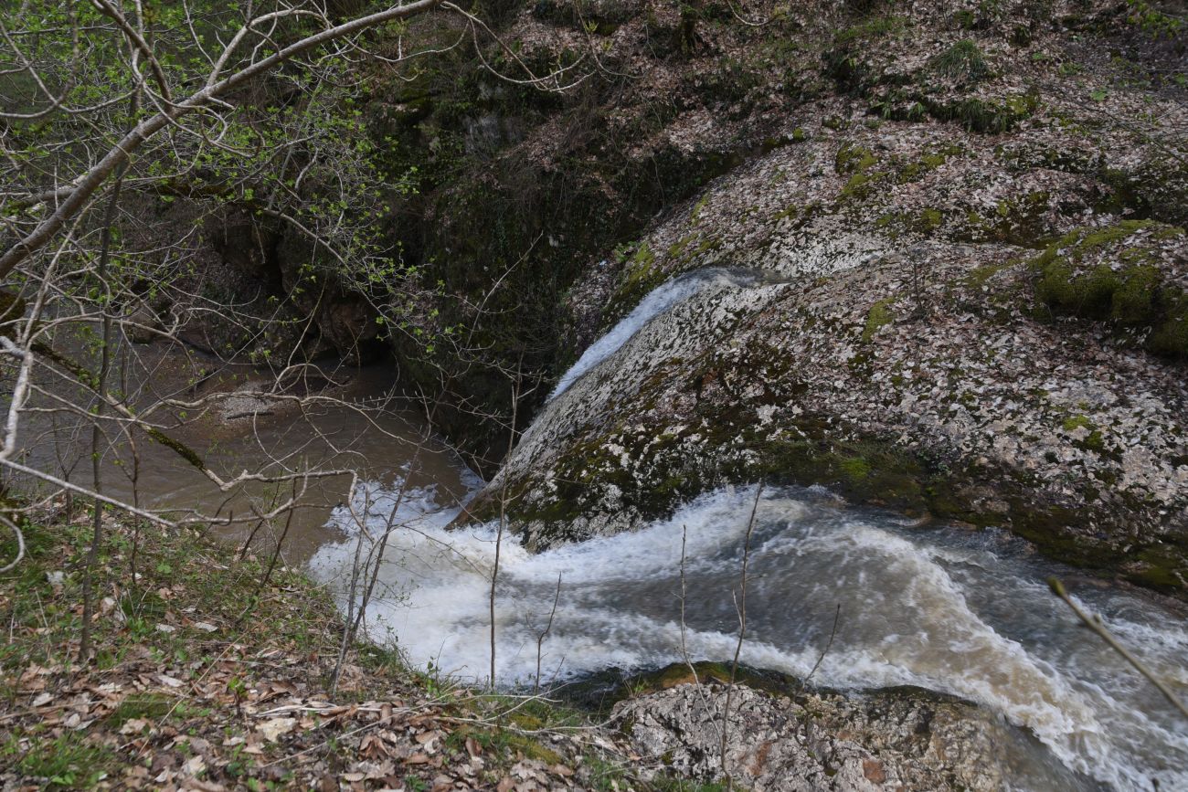 Водопад Шум, image of landscape/habitat.