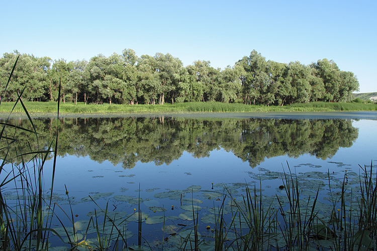 Шолоховские озера, изображение ландшафта.