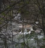 Image of landscape