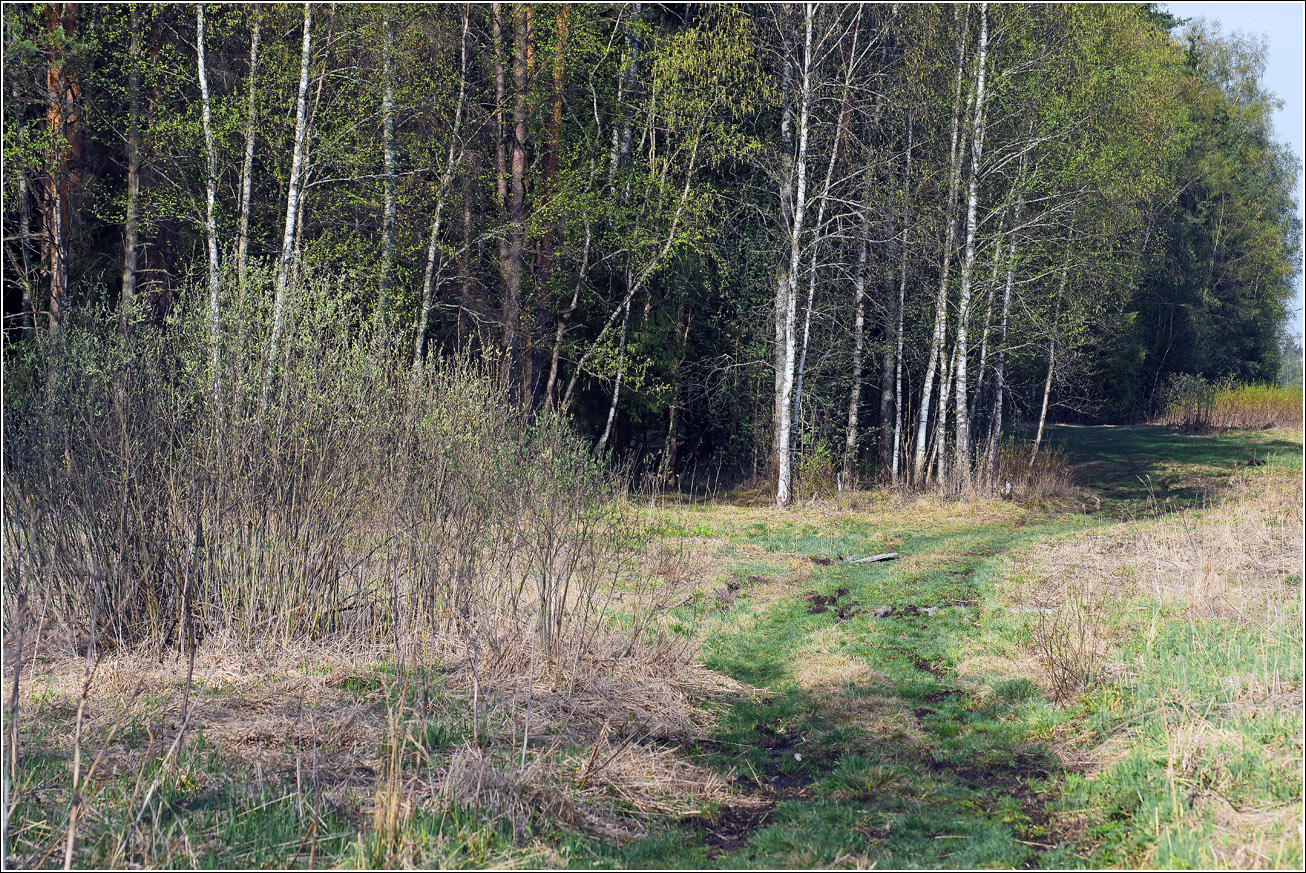 Окрестности Хрипани, image of landscape/habitat.