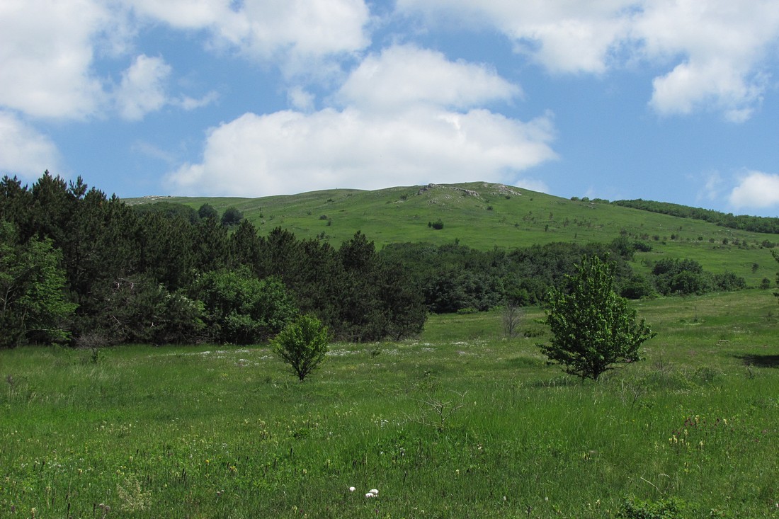 Долгоруковская яйла, image of landscape/habitat.