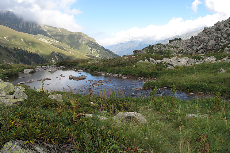 Xодюк, image of landscape/habitat.