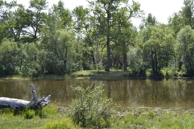 Река Курулга и гора Ундур, image of landscape/habitat.