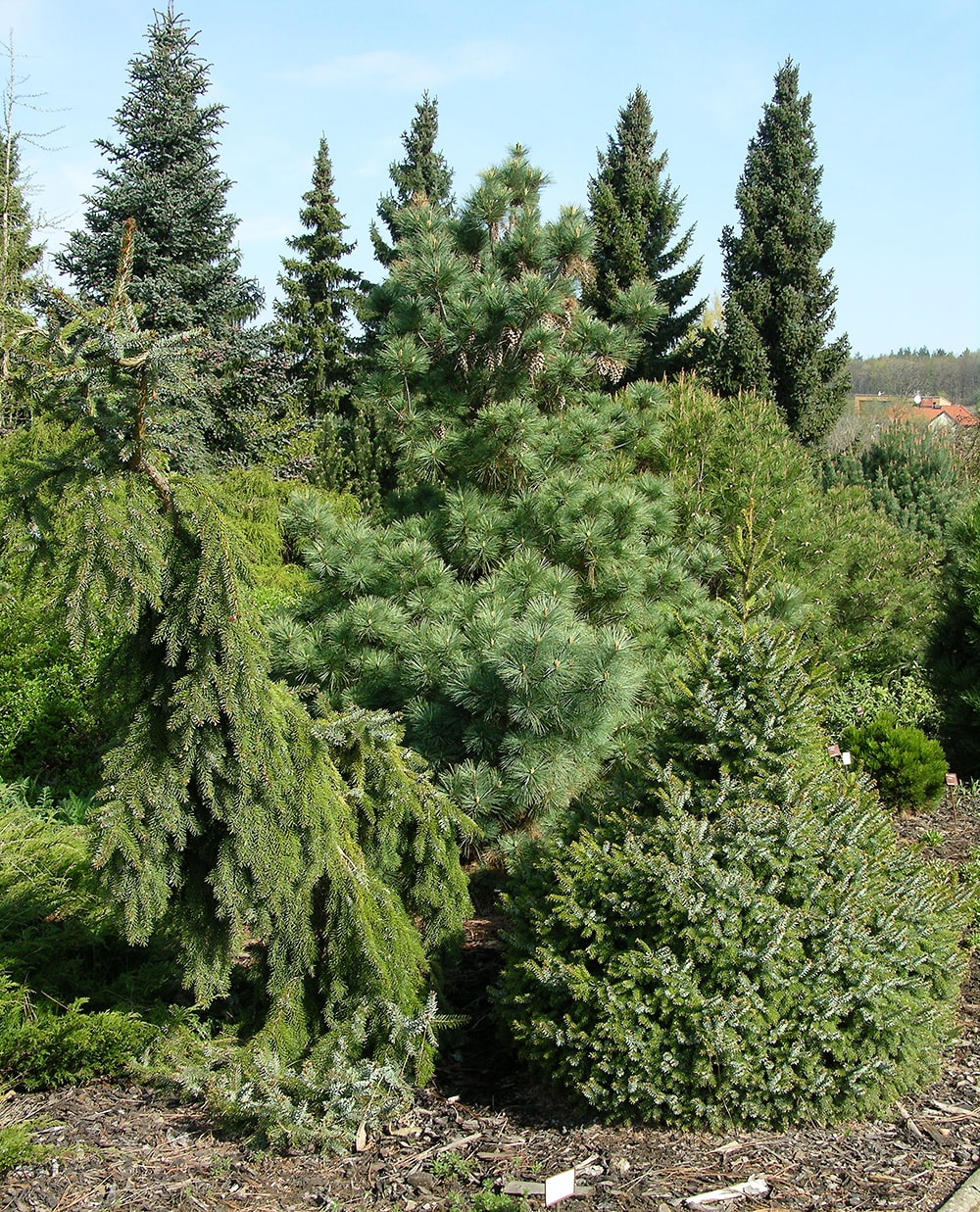 Ботанический сад в Трое, image of landscape/habitat.