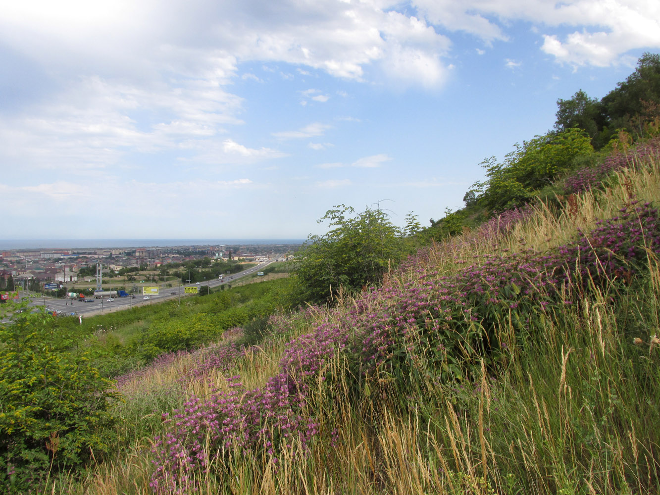 Избербаш, image of landscape/habitat.