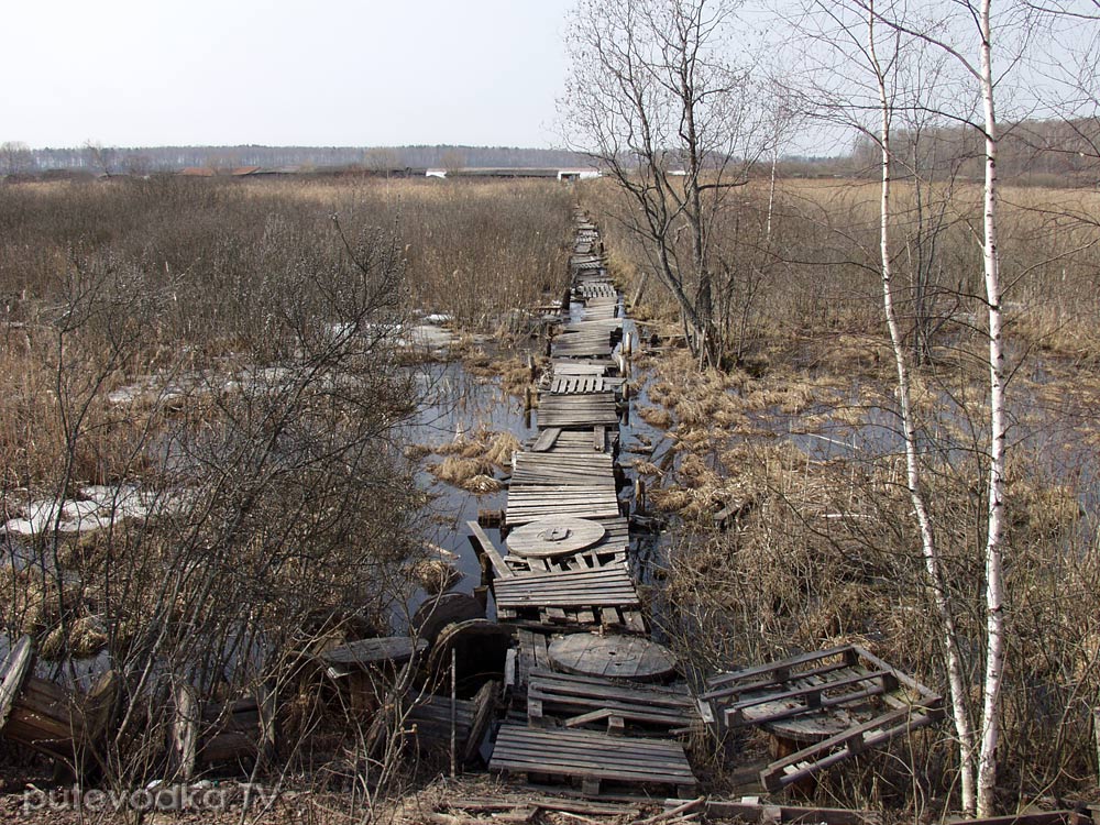 Дубна, image of landscape/habitat.