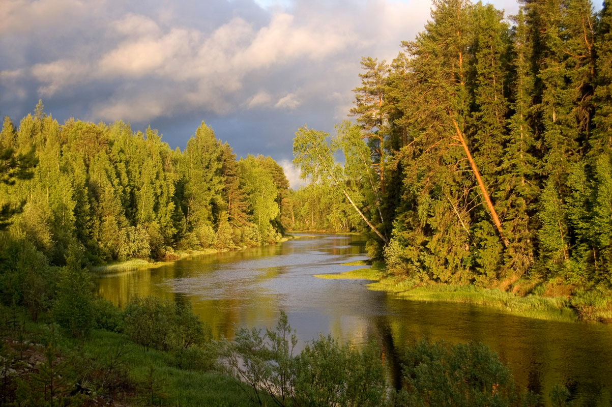 Долина реки Весляна, image of landscape/habitat.