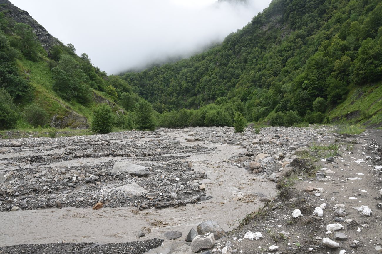 Окрестности селения Цеси, image of landscape/habitat.