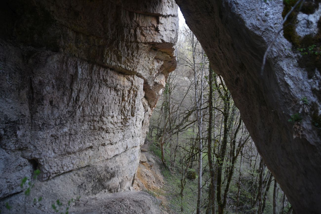 Окрестности скалы Парус, image of landscape/habitat.