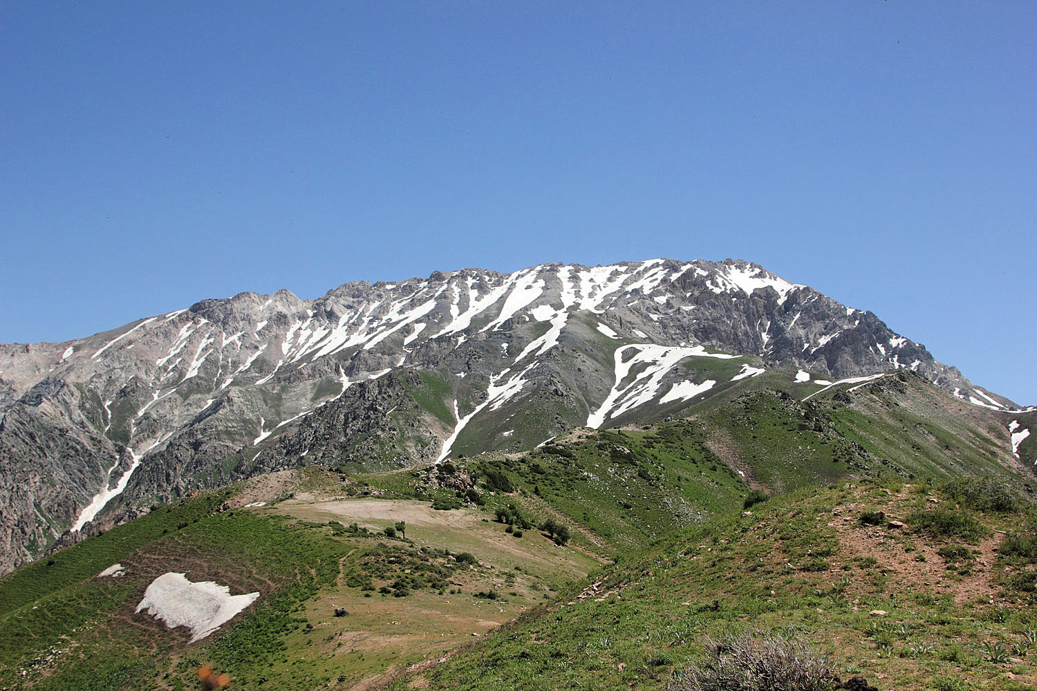 Малый чимган фото