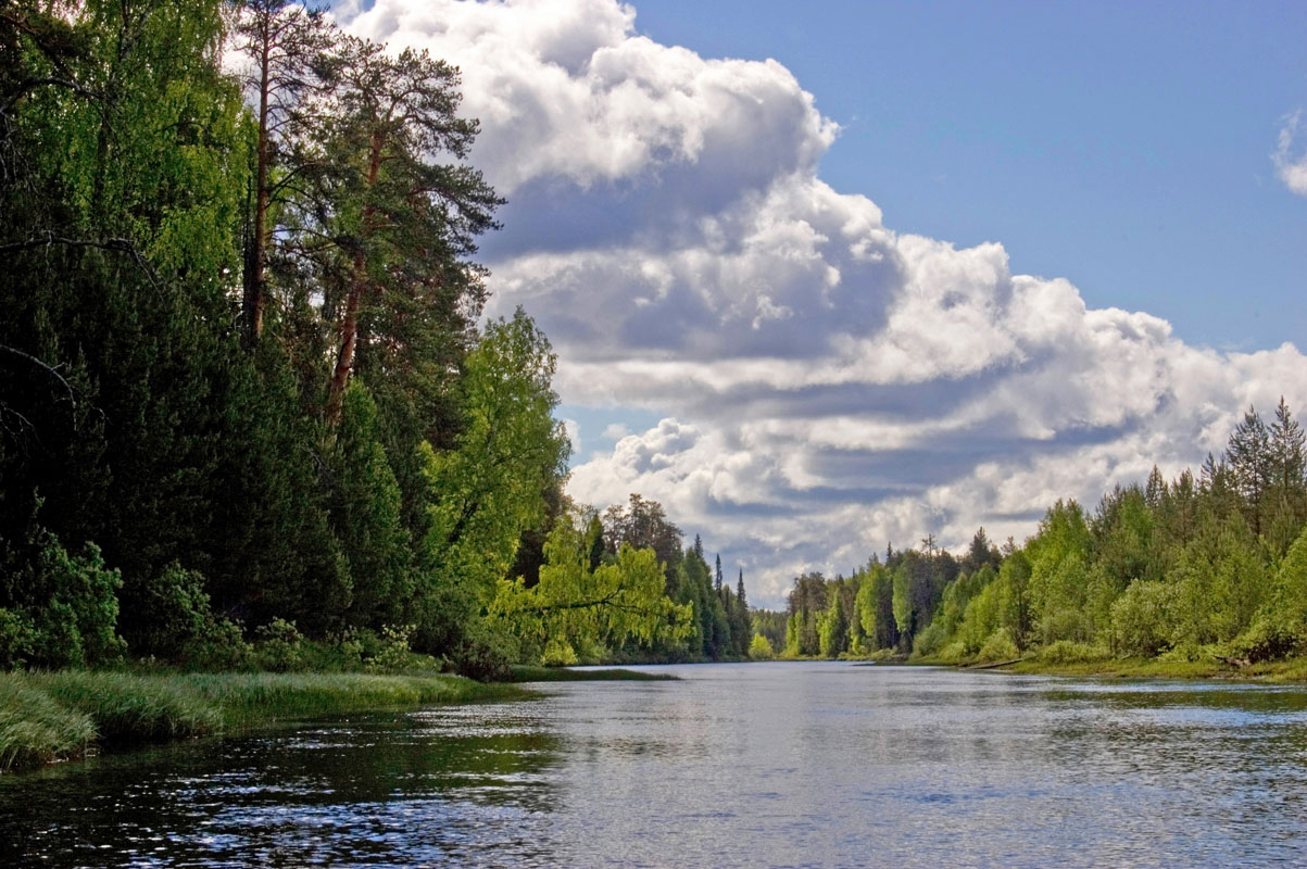 Долина реки Весляна, image of landscape/habitat.