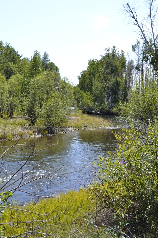 Река Курулга и гора Ундур, image of landscape/habitat.