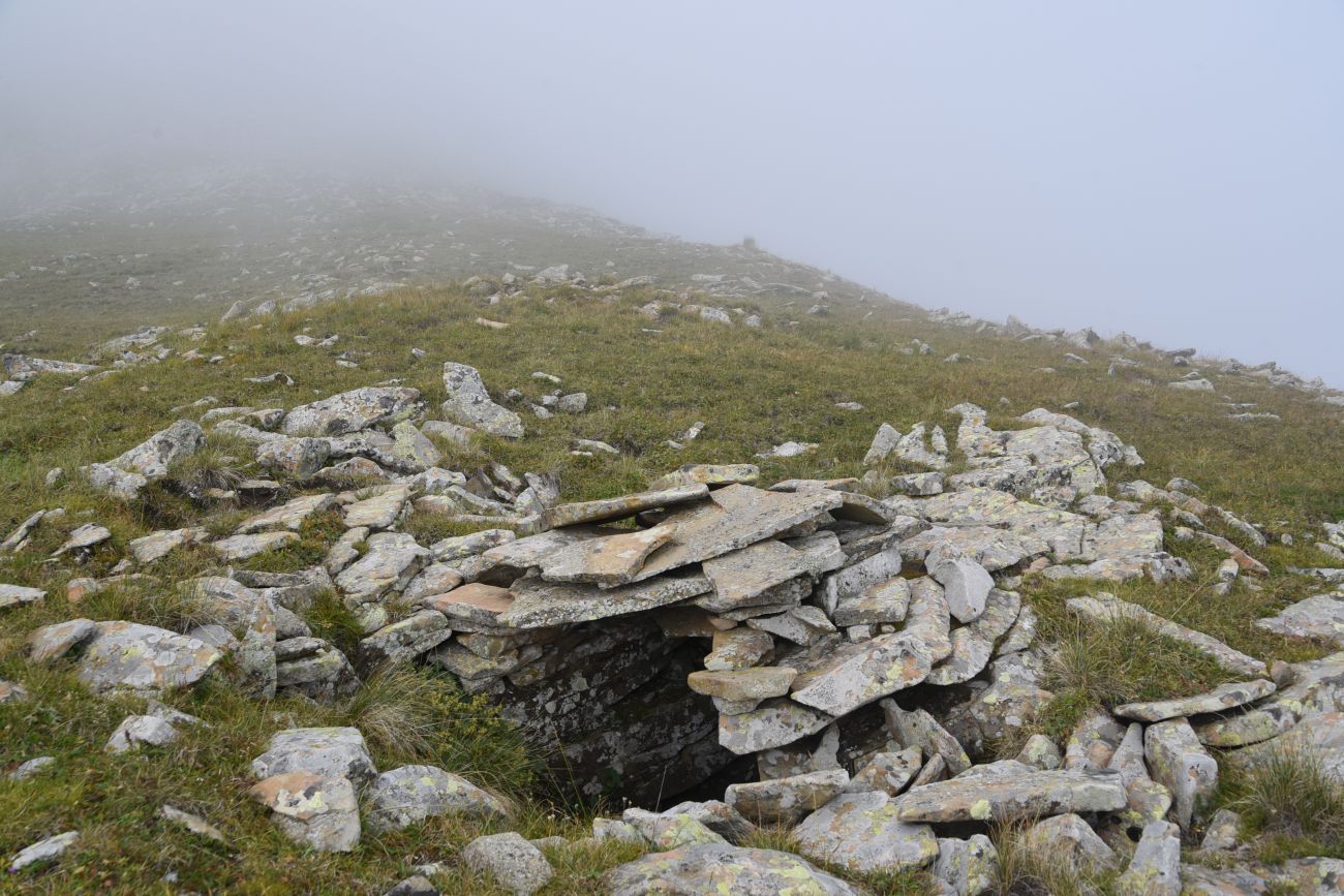 3 км от Цумандинского перевала, image of landscape/habitat.