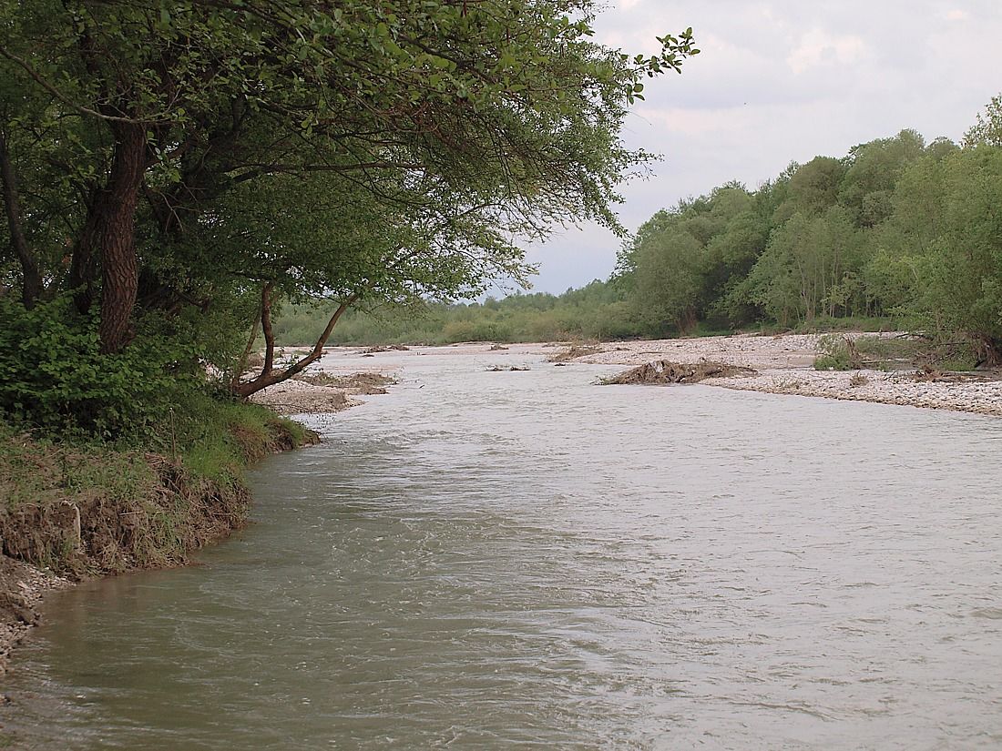 Север Осетинской равнины, image of landscape/habitat.