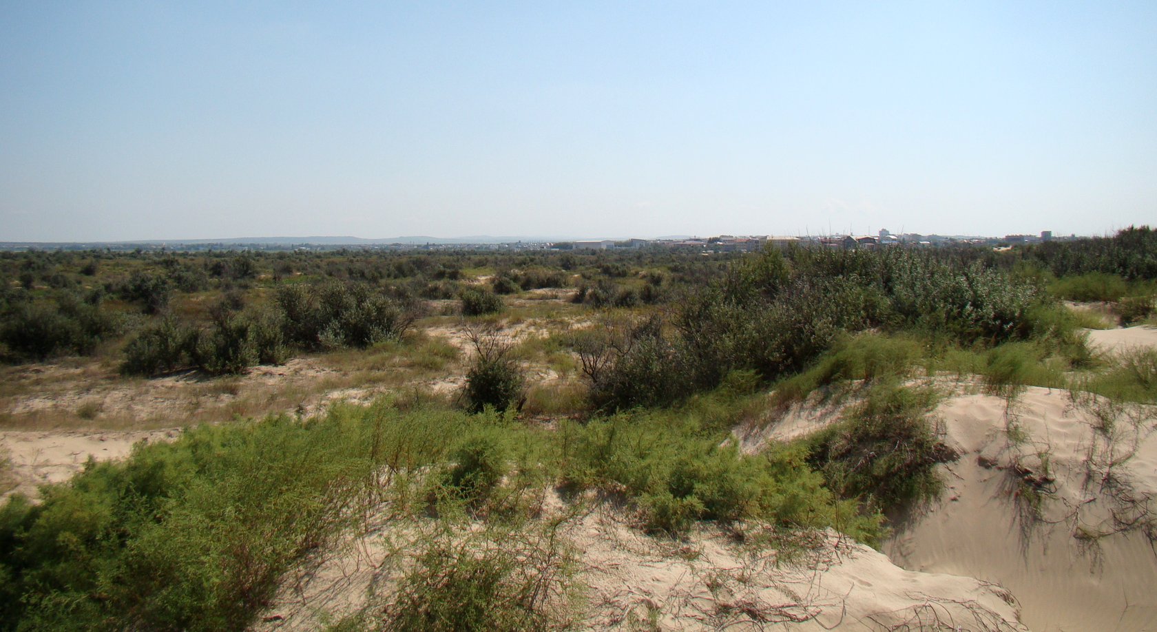 Витязевская коса, image of landscape/habitat.