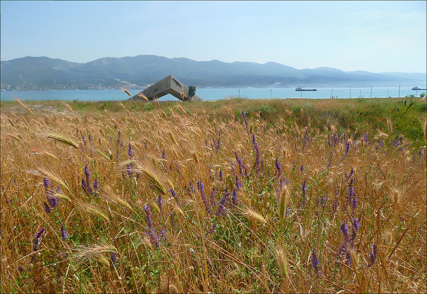 Окрестности Суджукской лагуны, image of landscape/habitat.